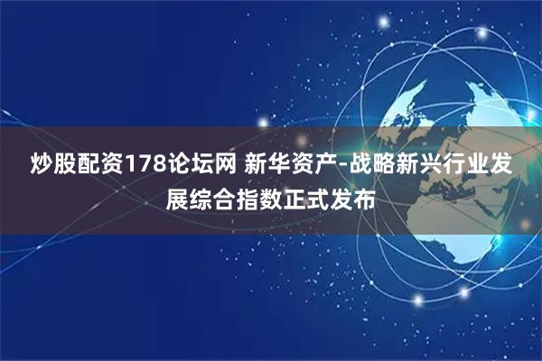 炒股配资178论坛网 新华资产-战略新兴行业发展综合指数正式发布