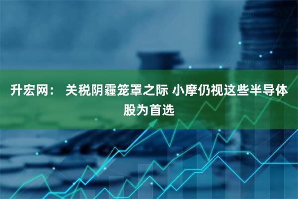 升宏网： 关税阴霾笼罩之际 小摩仍视这些半导体股为首选